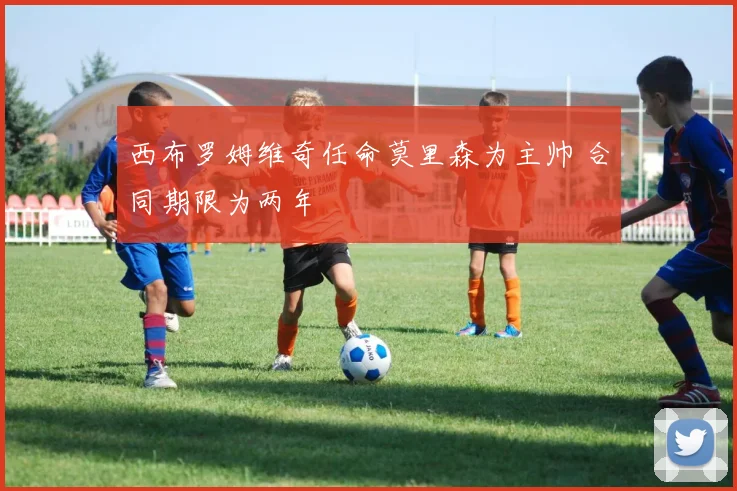 西布罗姆维奇任命莫里森为主帅 合同期限为两年