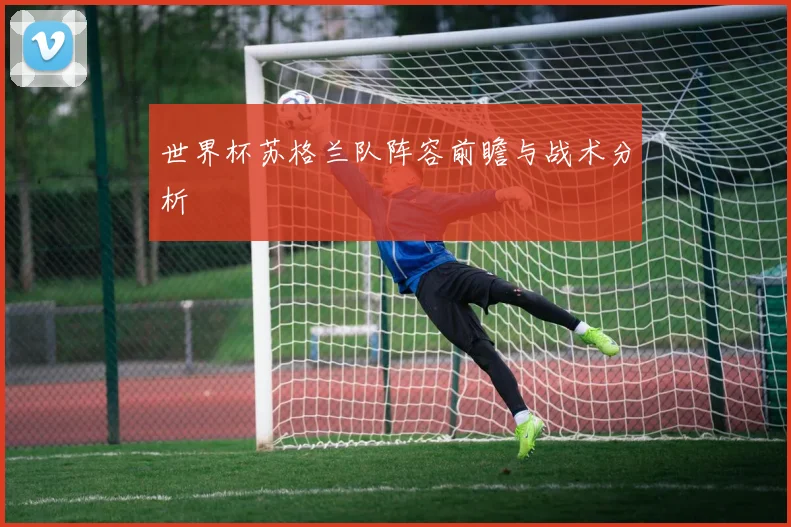 世界杯苏格兰队阵容前瞻与战术分析